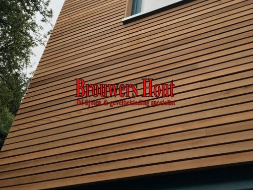 Western Red Cedar