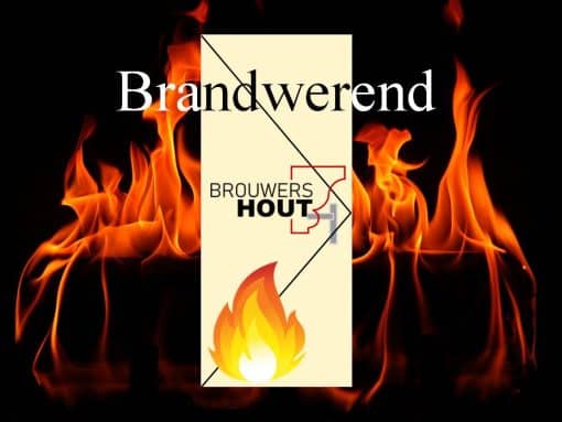Brandwerende deur 30 minuten hoogte 2015mm